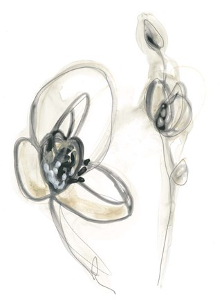 Framed Monochrome Floral Study III Print