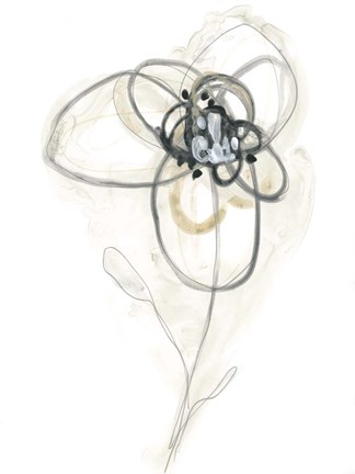 Framed Monochrome Floral Study IV Print