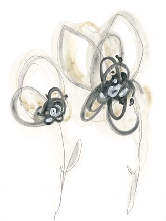 Framed Monochrome Floral Study VI Print