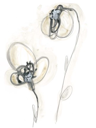 Framed Monochrome Floral Study VIII Print