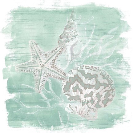 Framed Weathered Shell Assortment II Print