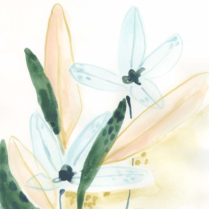 Framed Garden Essence IX Print