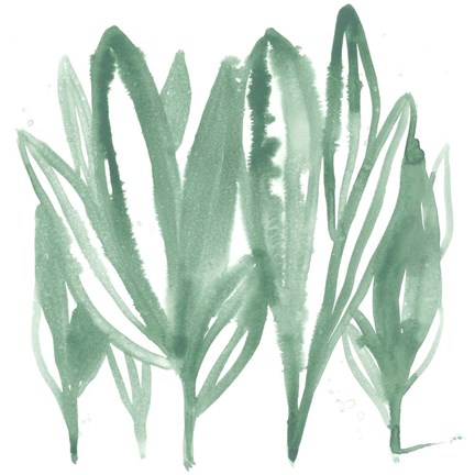 Framed Boho Tropicals IV Print