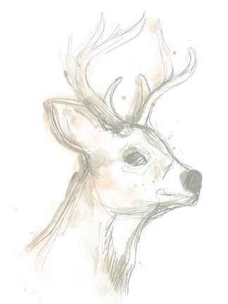 Framed Deer Cameo IV Print