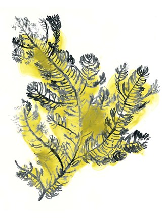 Framed Citron Sea Kelp IV Print