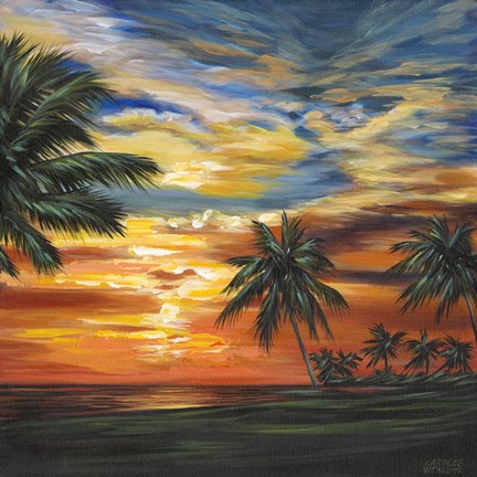 Framed Stunning Tropical Sunset II Print