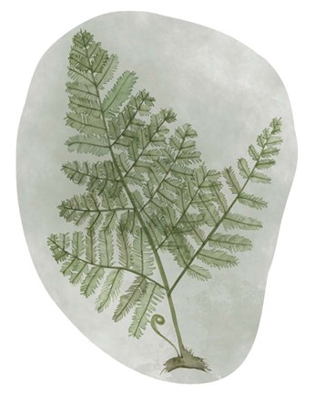 Framed Icy Forest I Print