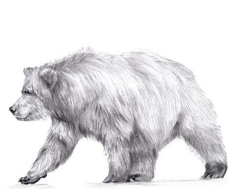 Framed Wildlife Trail III Print