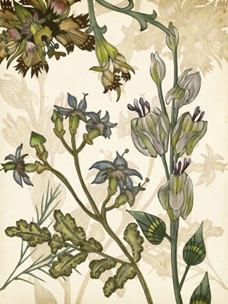 Framed Enchanted I Print