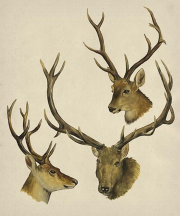 Framed Wild World I Print