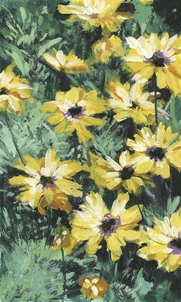 Framed Floral Impressions II Print