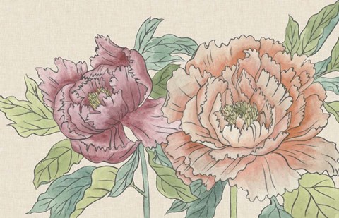 Framed Peony Blooms IV Print