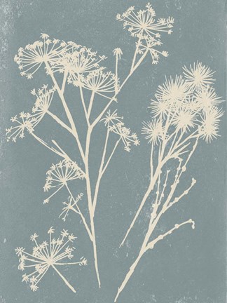 Framed Small Spray II Print