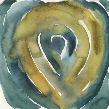 Framed Peacock Reflection I Print