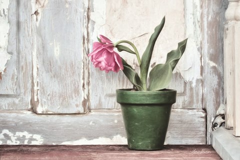 Framed Take a Bow Tulip Print