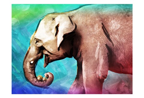 Framed Bright Elephant Print