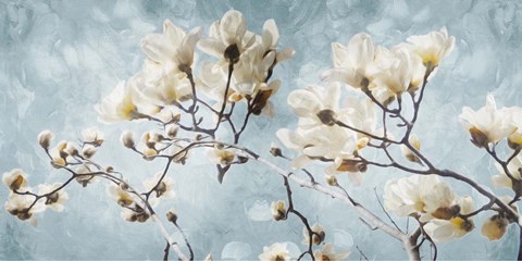 Framed White Flowers In Blue Print