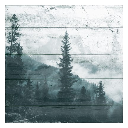 Framed Fog On The Forest Print