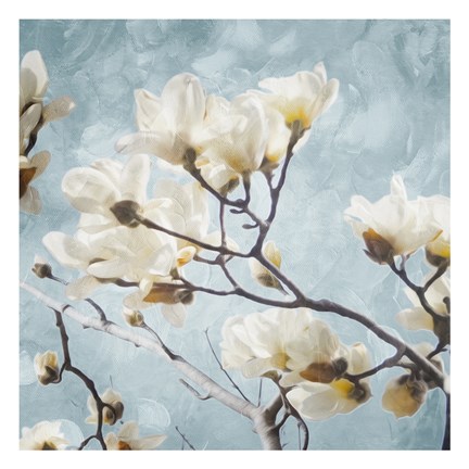 Framed Tree Of White Flowers Mate Print