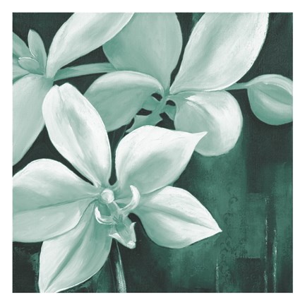 Framed Jade Orchid Print