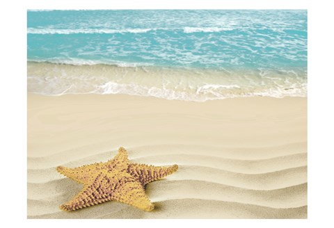 Framed Beach Star Print