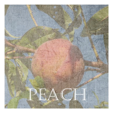 Framed Peach Print