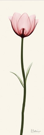 Framed Standing Tall 1 Print