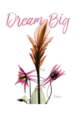 Framed Dream Big Floral Print