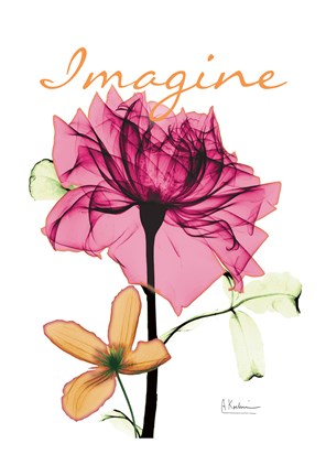 Framed Imaginative Floral Print