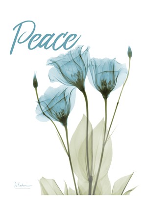 Framed Peaceful Gentian Print