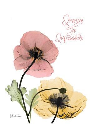 Framed Impossible  Poppies Print