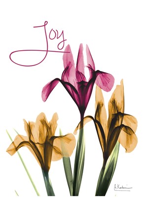 Framed Joyful Iris Print