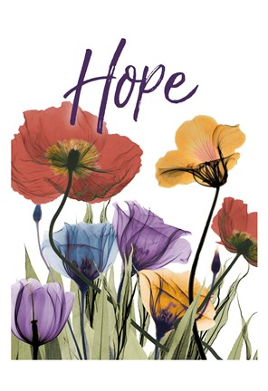 Framed Hopeful Flowerscape Print