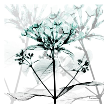 Framed Crystalized Floral Print