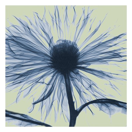 Framed Emerald Chrysanthemum Print