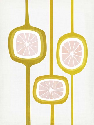 Framed Paloma I Print