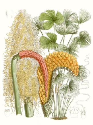 Framed Palm Melange IV Print