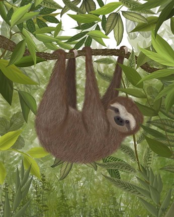 Framed Sloth Hanging Around Print