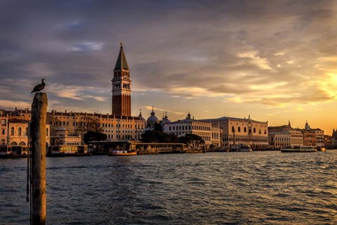 Framed Bird&#39;s View Print