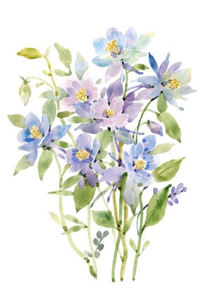 Framed Columbine Spray II Print