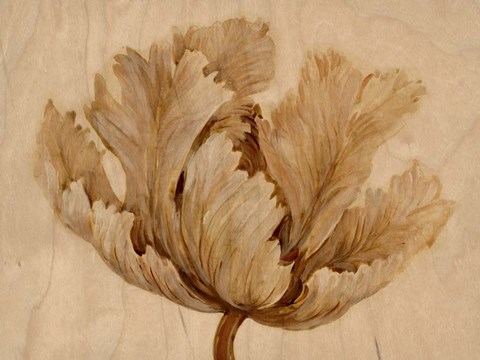 Framed Sepia Tulip on Birch I Print