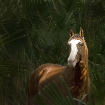 Framed Wild II Print