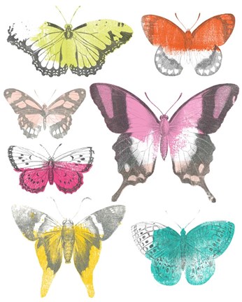 Framed Chromatic Butterflies II Print