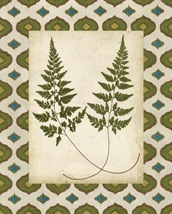 Framed Moroccan Ferns I Print
