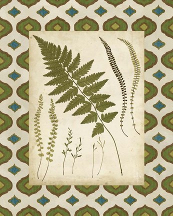 Framed Moroccan Ferns II Print
