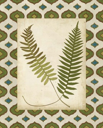 Framed Moroccan Ferns III Print