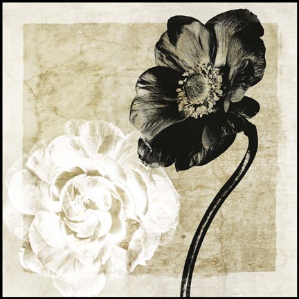 Framed Light From Darkness I Print