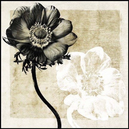 Framed Light From Darkness II Print