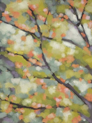 Framed Dappled Dusk I Print