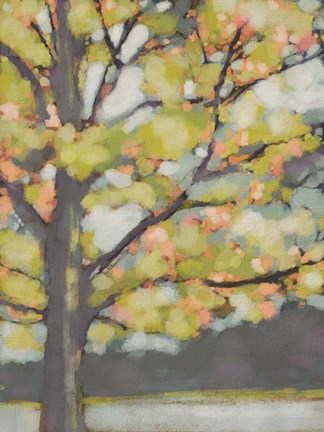 Framed Dappled Dusk III Print